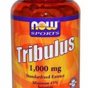 De droguri `Tribulus`: cum să ia, compoziția, caracteristicile și recenzii