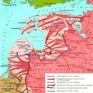 Operațiunea baltică din 1944 este o operațiune strategică ofensivă a trupelor sovietice. Ferdinand…