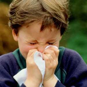 Cauzele și tratamentul unei friguri la un copil