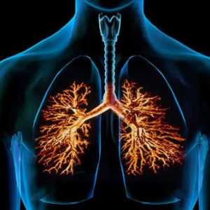 Cauze și simptome ale bronșitei obstructive cronice. Diagnosticul și tratamentul
