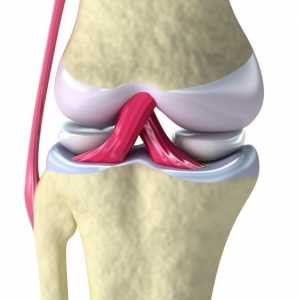 Cauzele și simptomele sinovitisului genunchiului