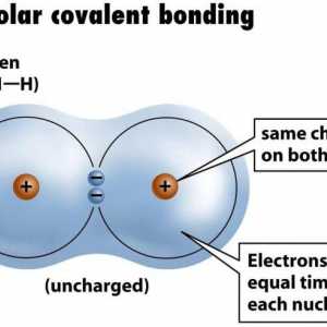 Un exemplu de legătură covalentă nepolară. Legătura covalentă este polară și nepolară