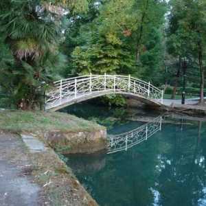 Primorskoe (Abhazia): odihnă pentru turiști