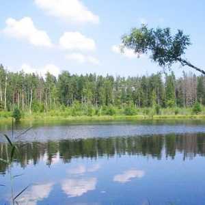 Natura Belarusului este un patrimoniu unic al ecosistemului relicvelor