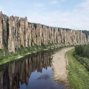 Natura regiunii Perm. Plante și animale din regiunea Perm