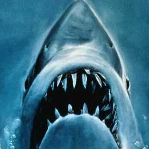 Despre rechinii: o listă de filme, genuri, recenzii și recenzii