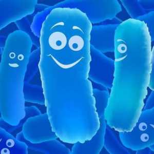 Probiotice pentru copii: nume. Lista celor mai bune probiotice pentru copii