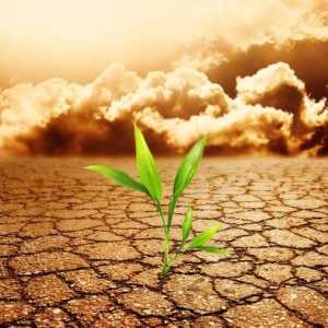 Probleme ale prezentului: contaminarea și epuizarea solului