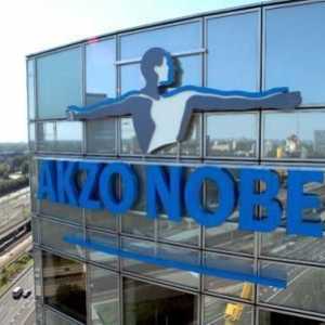 Produsele "Akzo Nobel": sortiment și descriere