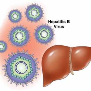 Prevenirea și protecția împotriva hepatitei B. Vaccinul împotriva hepatitei B