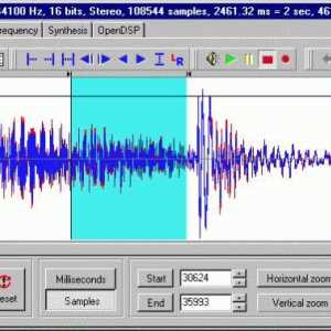 Program pentru prelucrarea sunetului și pentru înregistrarea sunetului