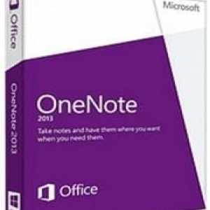 Un program pentru crearea de note OneNote - ce este?