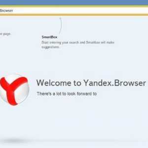 Sunetul dispare în Yandex.Browser - cauze posibile și soluții la problemă