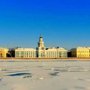 Costul vieții în St. Petersburg: câți rezidenți din Sankt-Petersburg nu trebuie să moară de foame