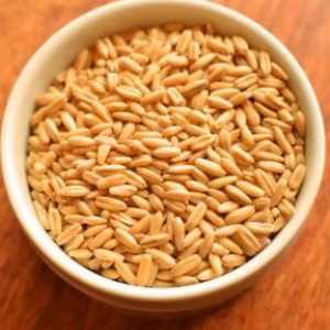 Tărâțe de grâu în multivarkul `Redmond`: secretele gătitului