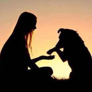 Psihologia câinilor. Elementele de bază ale formării animalelor