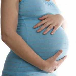 Pulsul în timpul sarcinii: norma. Puls în sarcină ce ar trebui să fie?