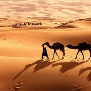 Deșertul Sahara: fotografii, date interesante, locație geografică