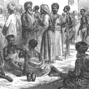 Starea de sclav: educație, forme, sistem