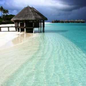 Maldive Paradise este un loc care merită cu siguranță o vizită