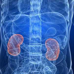 Cancerul de rinichi: predicții după eliminare. Dieta dupa operatie
