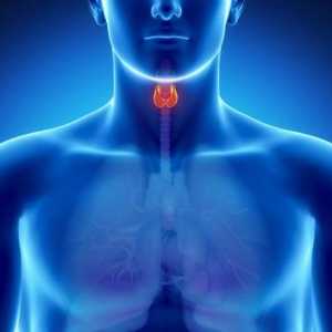 Cancerul tiroidian: câți trăiesc? Consultarea unui oncolog