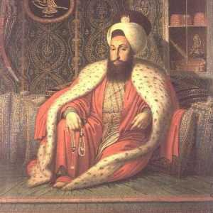 Dezintegrarea Imperiului Otoman: istorie, cauze, consecințe și fapte interesante