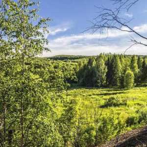 Plante și animale din Cartea Roșie a regiunii Perm: fotografie, listă