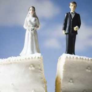 Secțiunea de proprietate dobândită în comun de soți: eșantion de declarație de creanță. Cererea de…