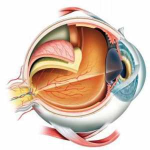 Ruptura retinei: cauze, tratament, consecințe