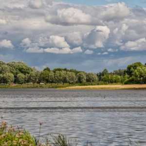 Râul Izhora: caracteristici și pescuit