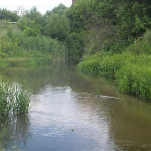 Râul Kur este un punct de reper al teritoriului Khabarovsk