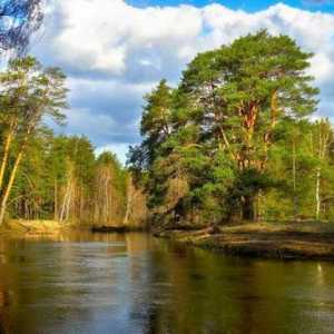 Râul Nerskaya în suburbii: descriere, descriere, fotografie