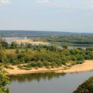 Râul Oka. Plante și animale din bazinul Volga