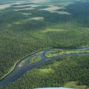 Râul Vis este unul dintre cele mai pitorești locuri din Rusia
