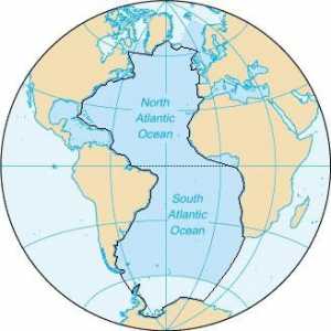 Reluarea fundului Oceanului Atlantic. Principalele caracteristici ale reliefului patului Oceanului…