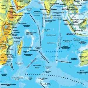 Relieful, densitatea și salinitatea Oceanului Indian. Fauna si flora