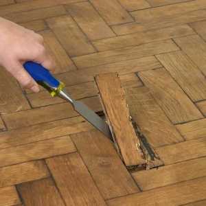Repararea podelelor în apartament cu propriile mâini în etape: sfaturi profesionale