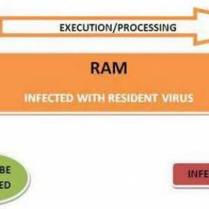 Virusi rezidenți: ceea ce este și cum să-l distrugeți. Virușii de calculator