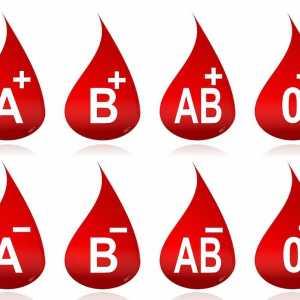 Factorul rhesus al sângelui: definiție, caracteristici și transcripție