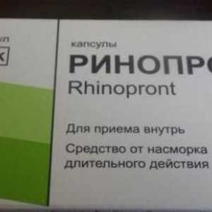 "Rinoprint": instrucțiuni de utilizare. Droguri și fotografii