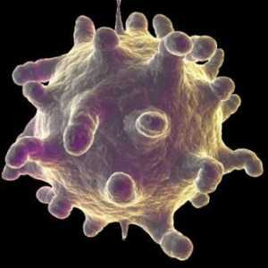Infecția cu rinovirus: simptome și tratament