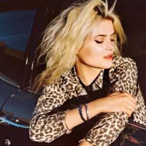 Rock-cântăreață Alison Mosschart: biografie, viață personală