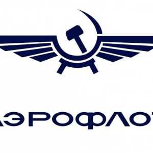 Companiile rusești - de la Dobroleta la Aeroflot
