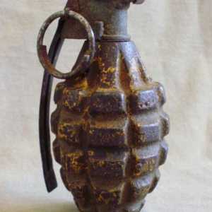 Grenade de mână. Grenade de șrapelă de mână. Grenadă de mână RGD-5. Grenada de mână F-1