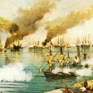 Războaie ruso-turce - geneza confruntării de la mijlocul secolului al XVII-lea până la a doua…