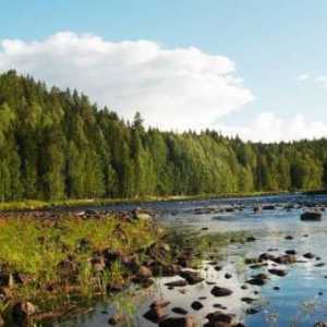 Pescuitul sălbatic în Karelia: comentarii. Unde să mergeți la Karelia pentru pescuitul sălbatic