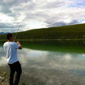 Pescuitul în regiunea Almaty: locuri și soiuri de pește