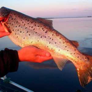 Pescuitul în Kalmykia este o experiență inexprimabilă