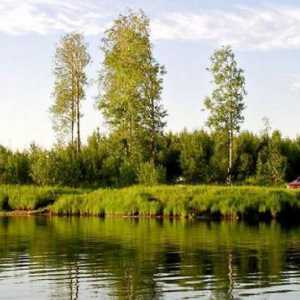 Pescuit în Nefteyugansk: caracteristici, fotografii și recenzii